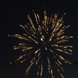 11116989_887434164648925_906819982_n